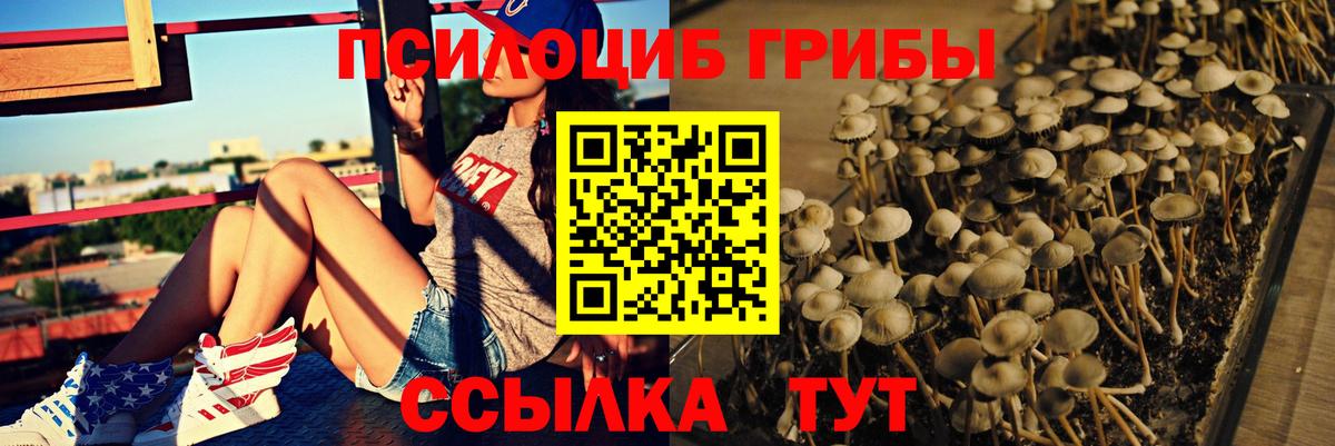 Псилоцибиновые грибы Magic Shrooms  Псилоцибиновые грибы прущие грибы  Вход с VPN  Кушва 