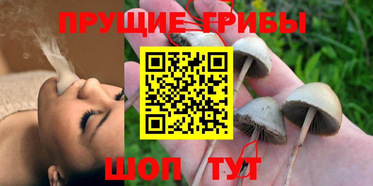 Псилоцибиновые грибы ЛСД Кушва