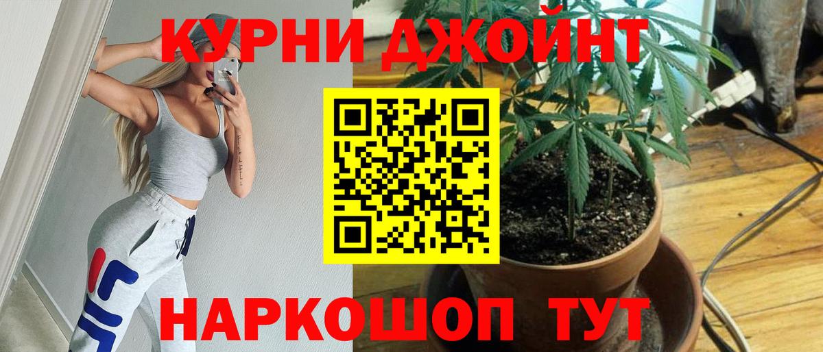 Каннабис SATIVA & INDICA  Вход с VPN  Бошки Шишки THC 21%  Кушва  Каннабис Ganja 